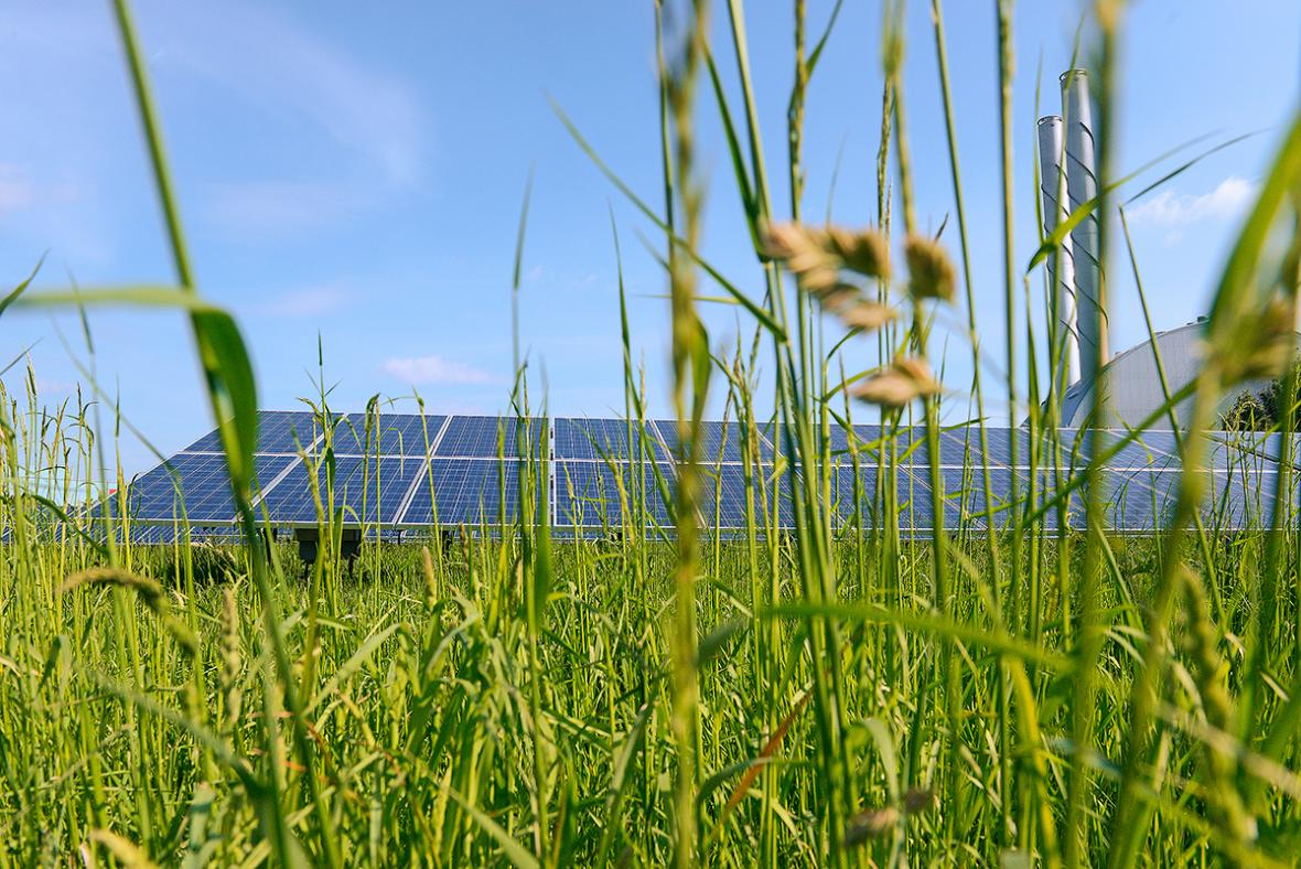 Wien Energie Solarkraftwerk in der Rosiwalgasse